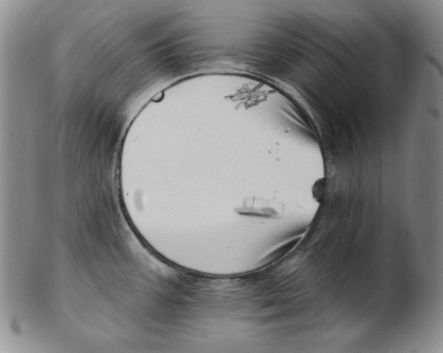 X0000102871387200809081155