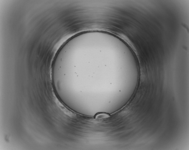 X0000102871388200809081155