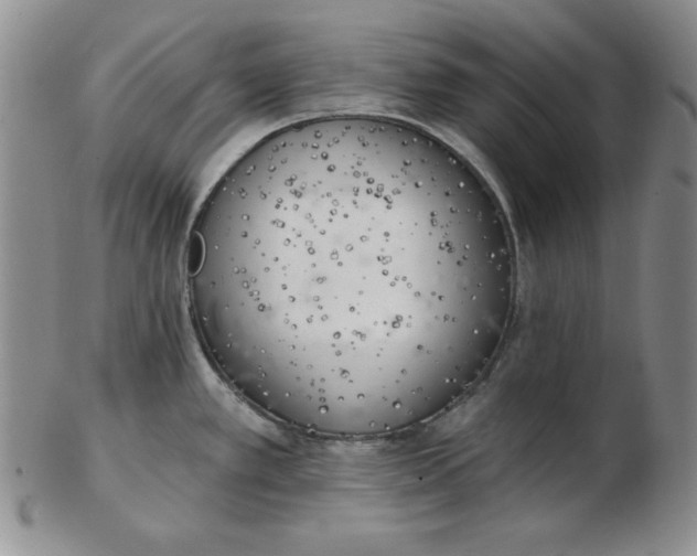 X0000102871389200809081155