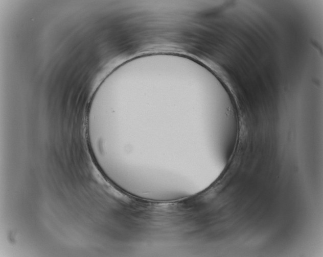 X0000102871390200809081155