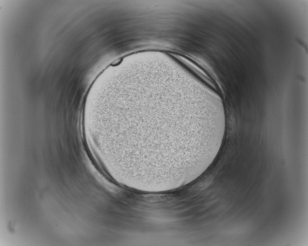 X0000102871391200809081155