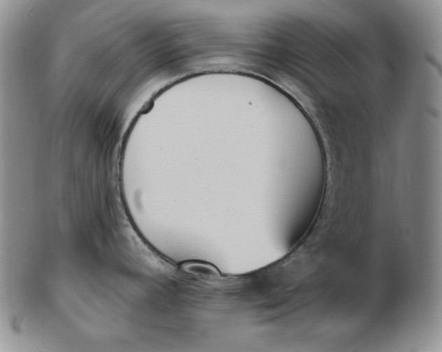 X0000102871392200809081155