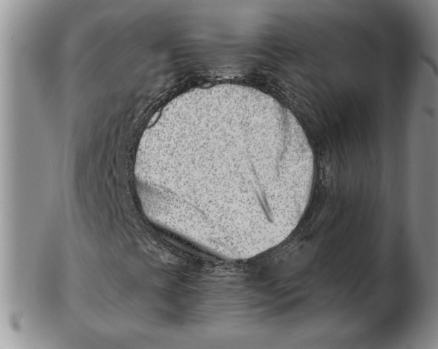 X0000102871393200809081155