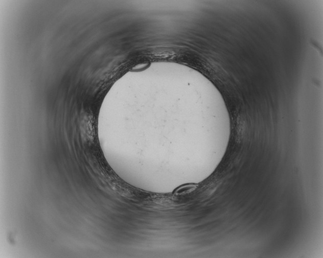 X0000102871394200809081155