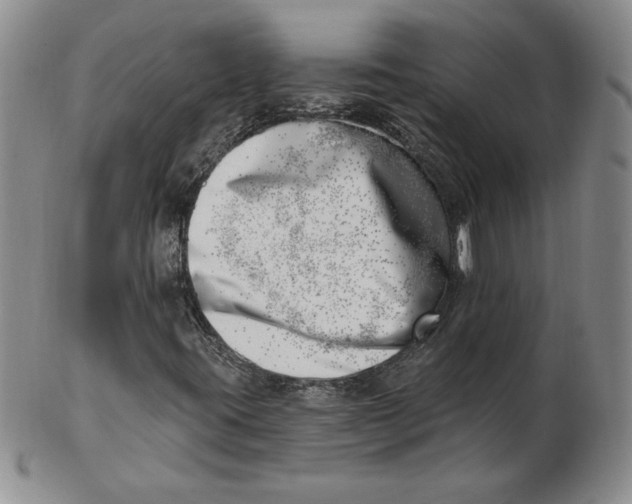 X0000102871395200809081155