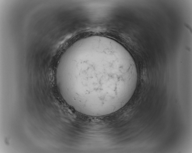 X0000102871398200809081155