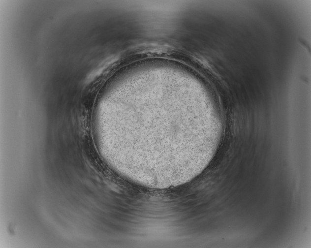 X0000102871399200809081155