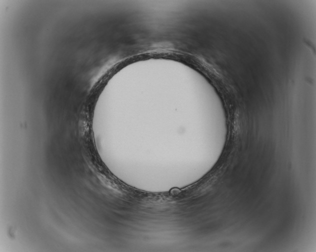 X0000102871400200809081155