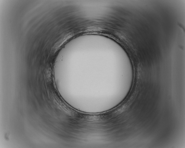 X0000102871401200809081155