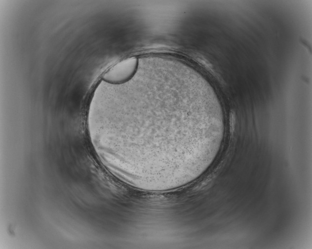 X0000102871405200809081155