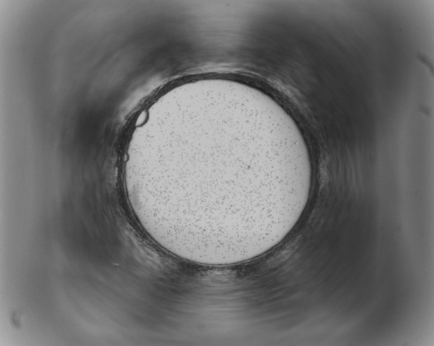 X0000102871406200809081155