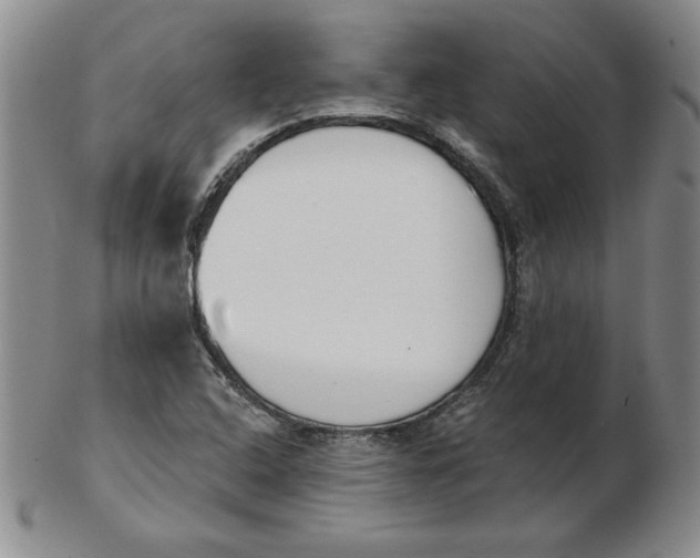 X0000102871408200809081155