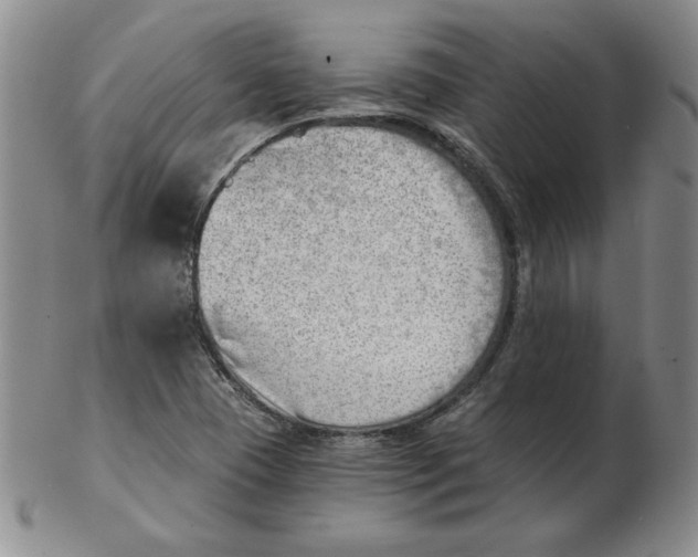 X0000102871409200809081155