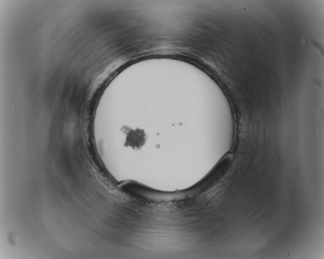 X0000102871410200809081155