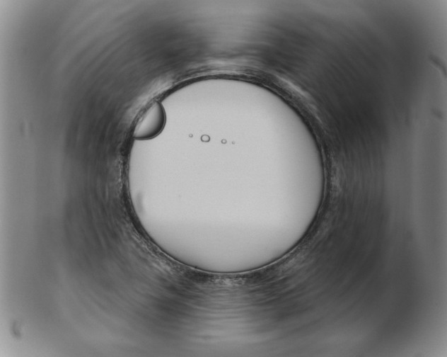 X0000102871411200809081155