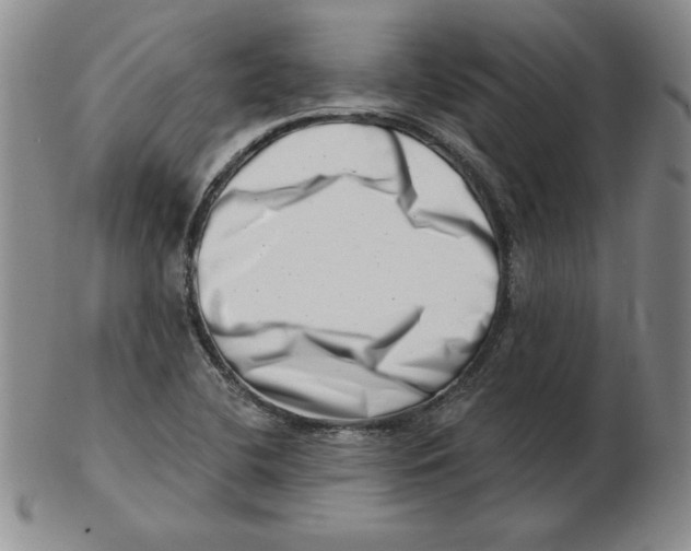 X0000102871412200809081155