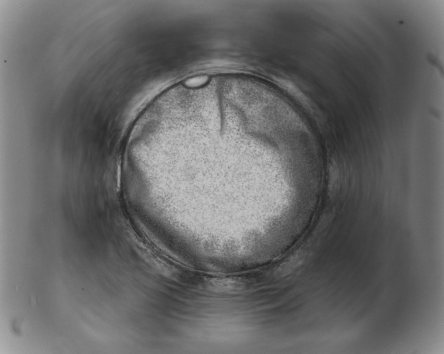 X0000102871413200809081155