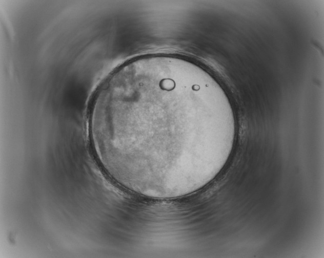 X0000102871414200809081155