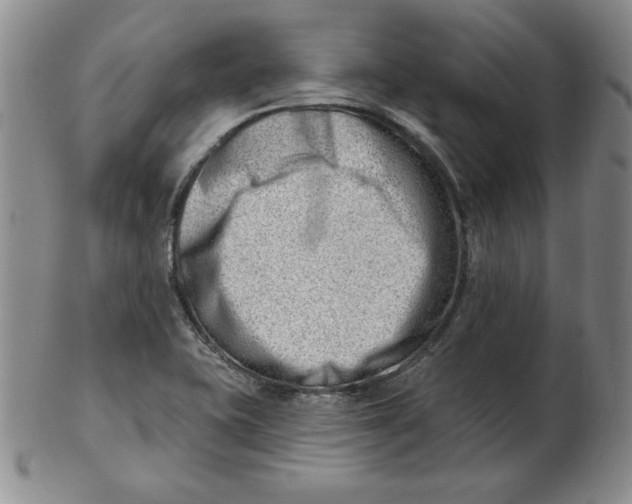 X0000102871415200809081155