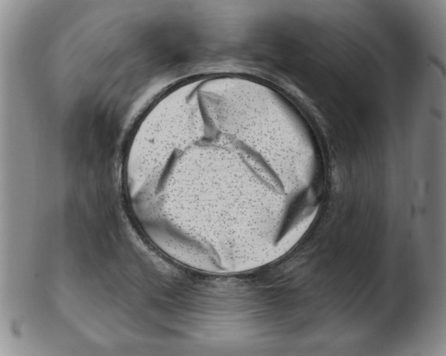 X0000102871416200809081155