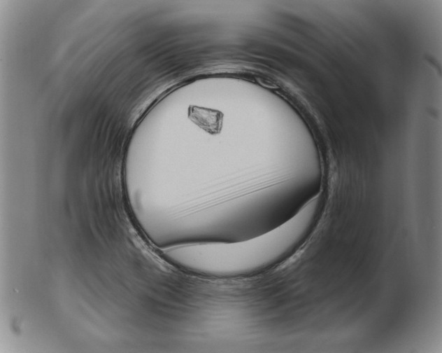 X0000102871417200809081155