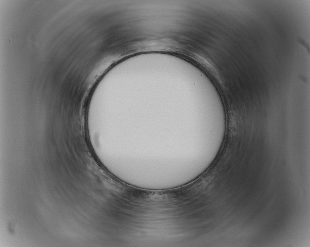 X0000102871419200809081155