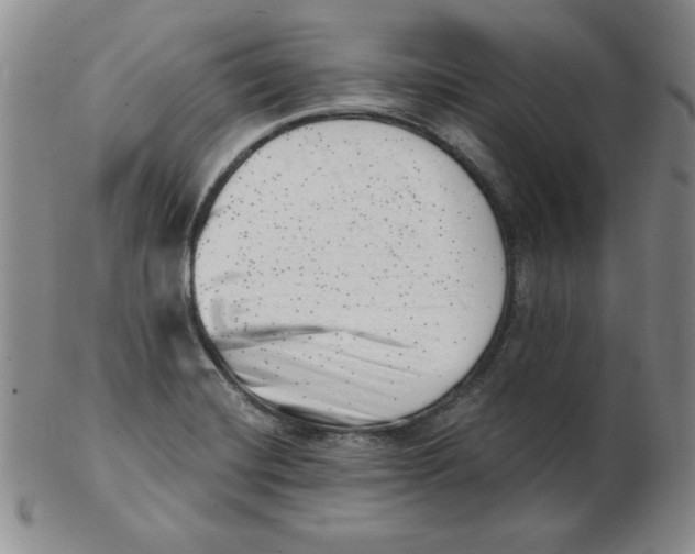 X0000102871420200809081155