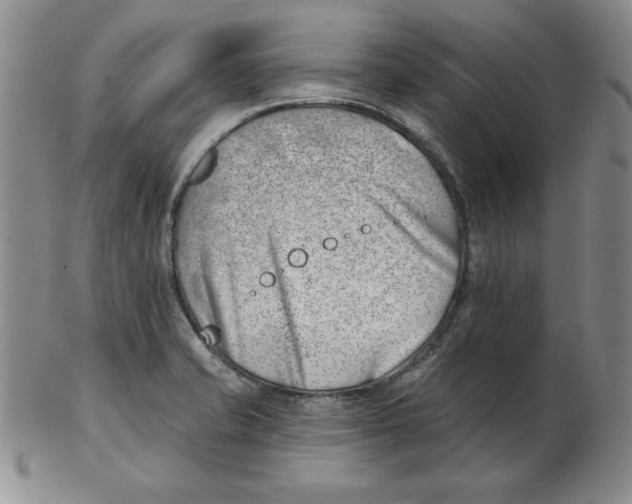 X0000102871421200809081155