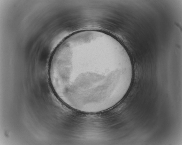 X0000102871422200809081155