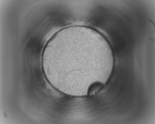 X0000102871423200809081155