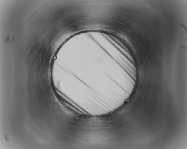 X0000102871424200809081155