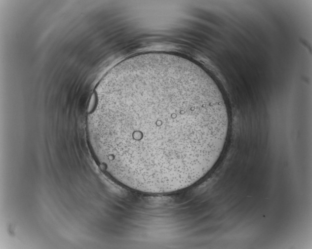 X0000102871425200809081155