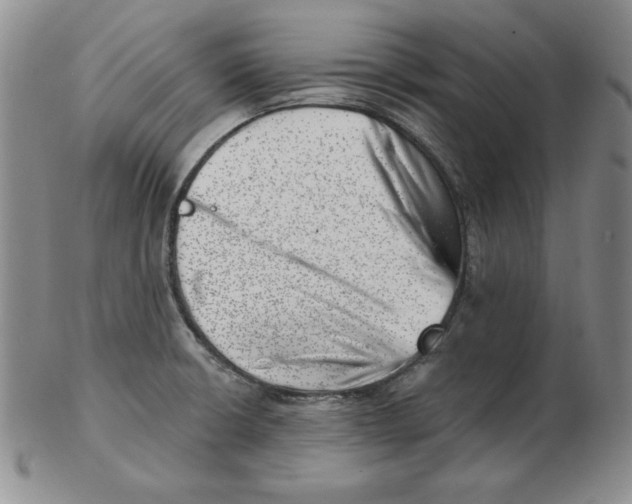 X0000102871426200809081155