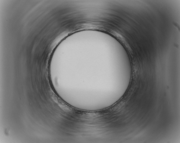 X0000102871427200809081155