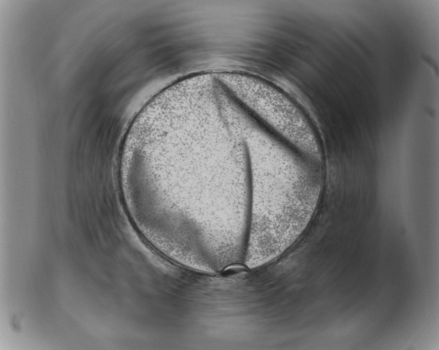 X0000102871429200809081155