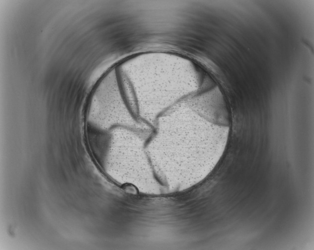 X0000102871430200809081155