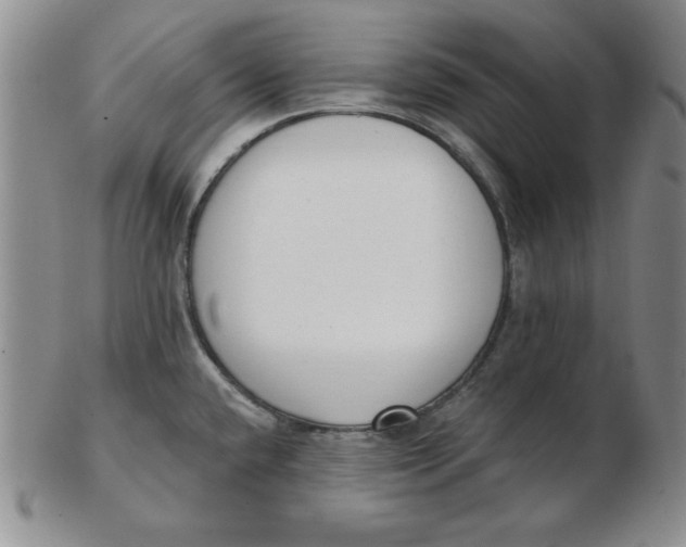 X0000102871432200809081155