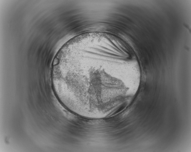 X0000102871434200809081155