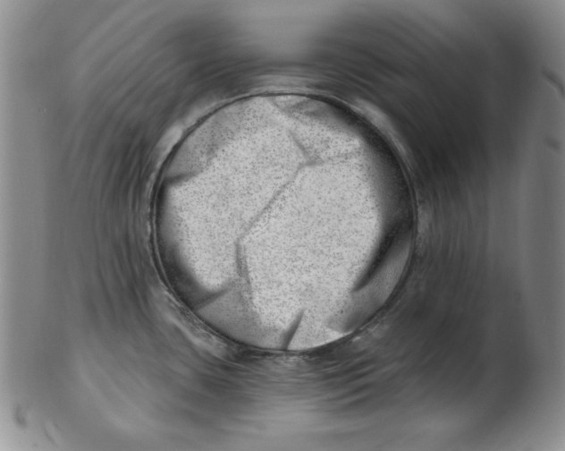 X0000102871435200809081155