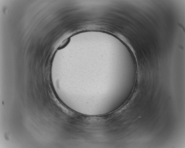 X0000102871437200809081155