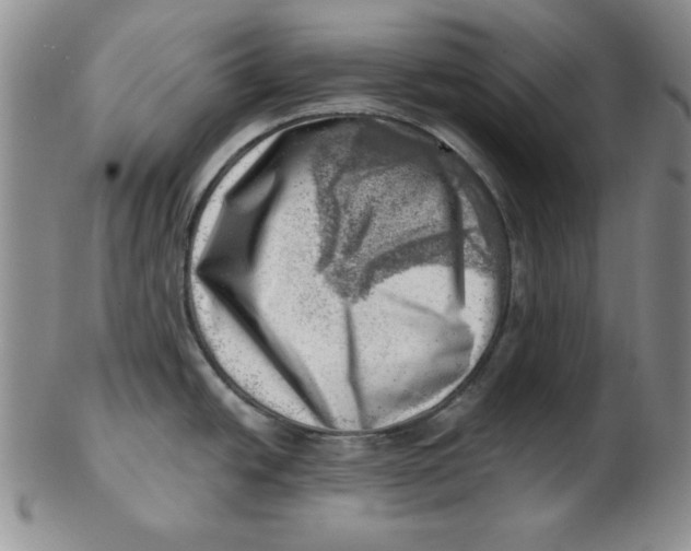 X0000102871438200809081155