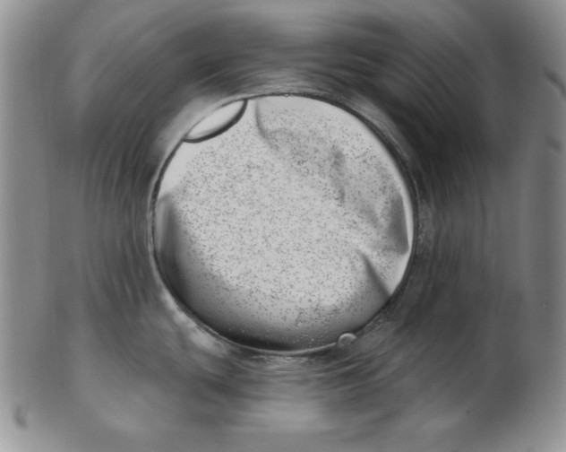 X0000102871439200809081155