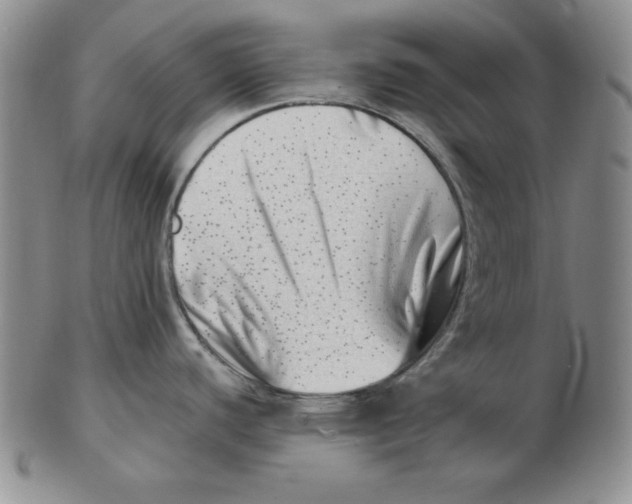 X0000102871440200809081155