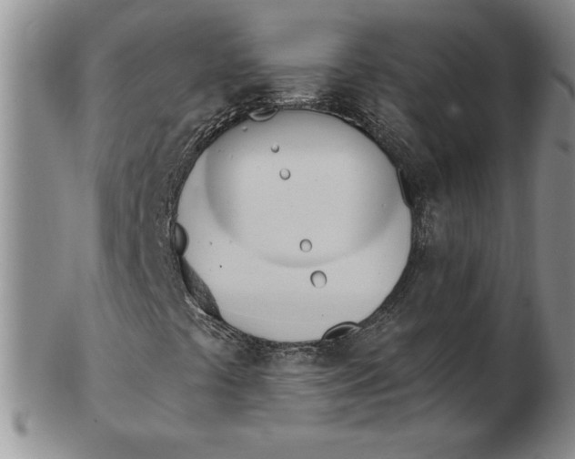 X0000102871441200809081155