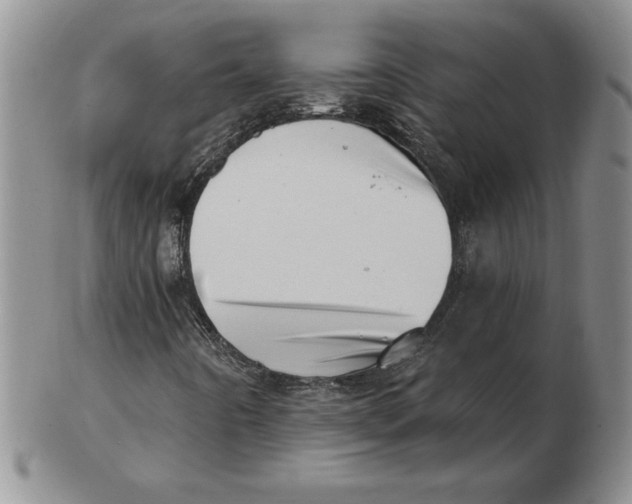 X0000102871442200809081155