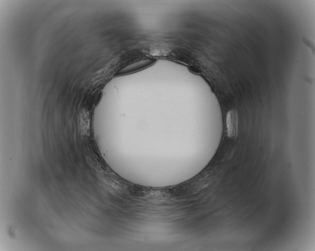 X0000102871443200809081155