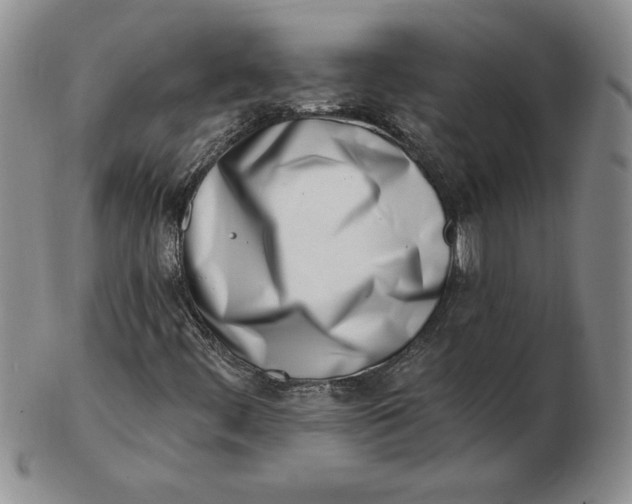 X0000102871444200809081155