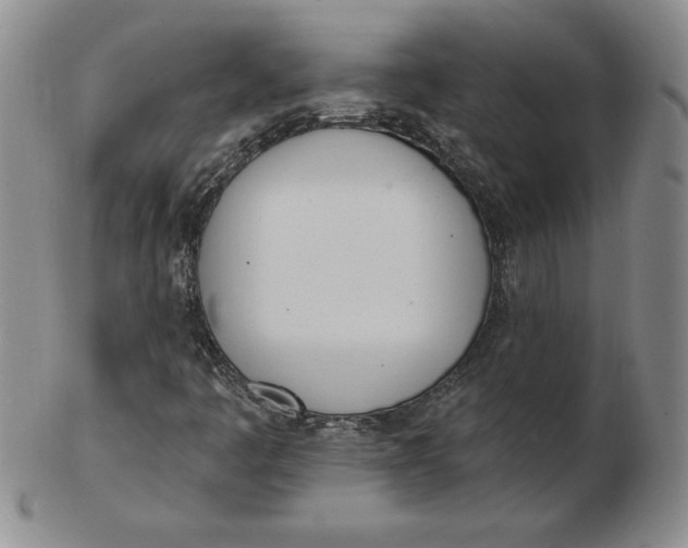 X0000102871445200809081155