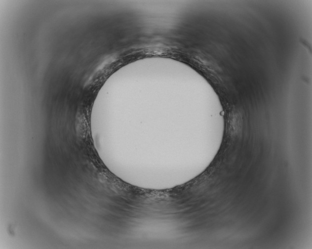 X0000102871446200809081154