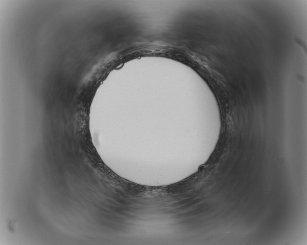 X0000102871447200809081154